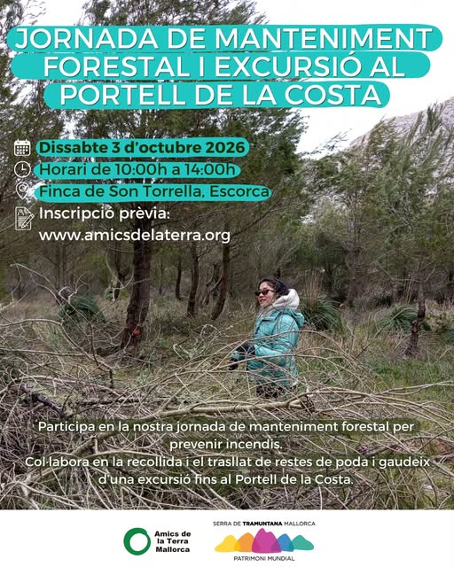 Voluntaria desplazando restos de poda en Son Torrella, con la ladera montañosa al fondo