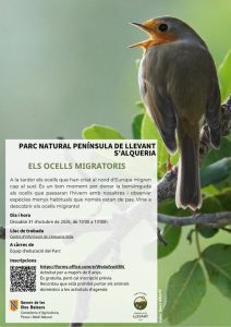 Petirrojo en el cartel de la actividad Els ocells migradors del Parc Natural de la Península de Llevant